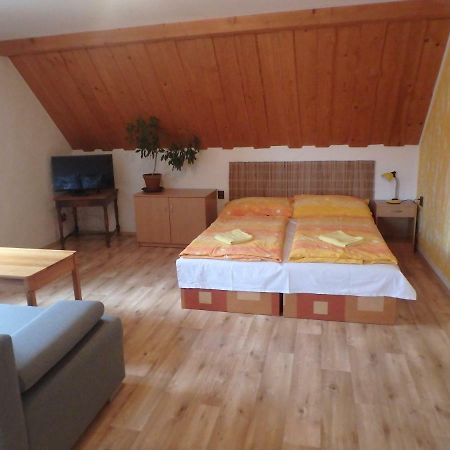 Apartments Vecernik Rokytnice 捷克布杰约维采 外观 照片