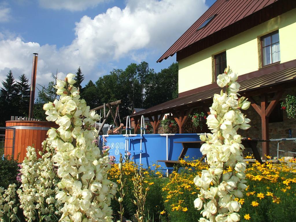 Apartments Vecernik Rokytnice 捷克布杰约维采 外观 照片