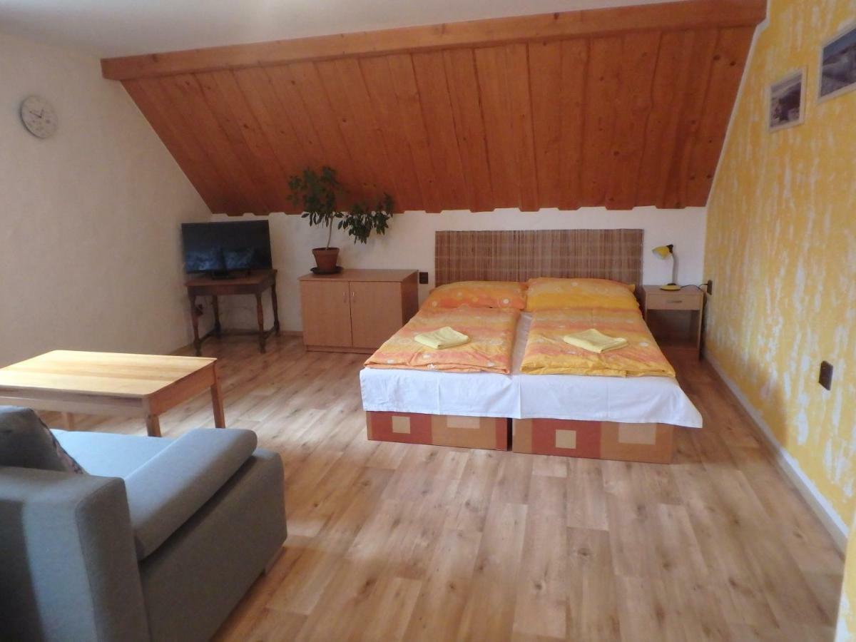 Apartments Vecernik Rokytnice 捷克布杰约维采 外观 照片