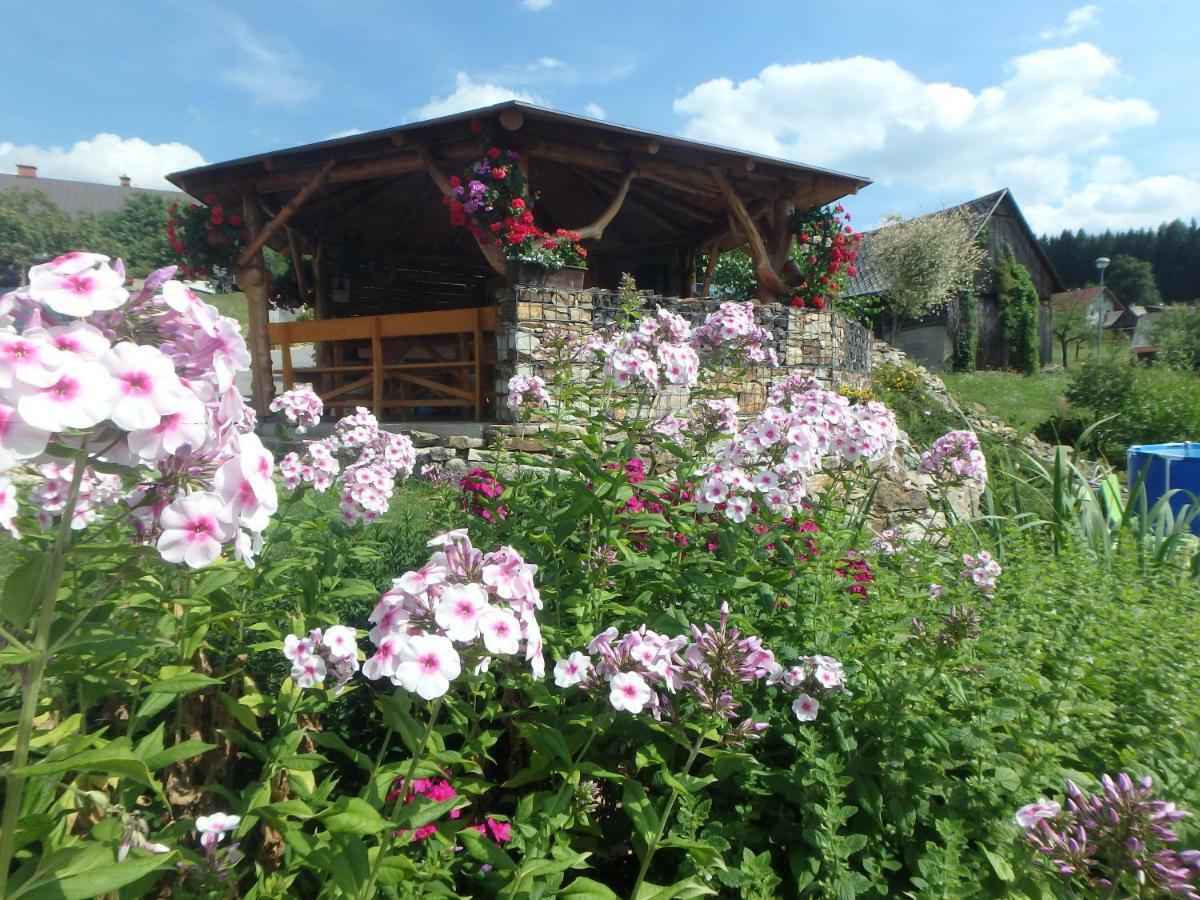 Apartments Vecernik Rokytnice 捷克布杰约维采 外观 照片