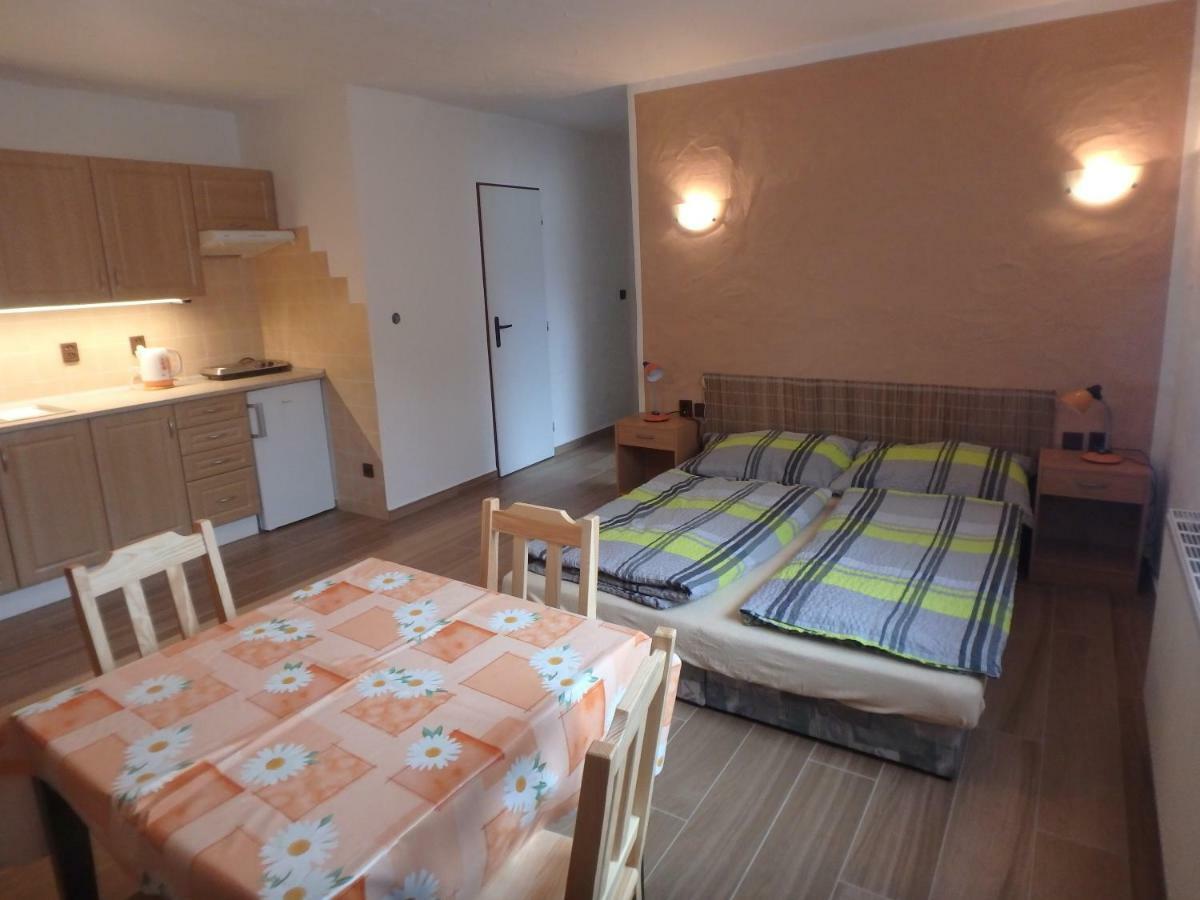 Apartments Vecernik Rokytnice 捷克布杰约维采 外观 照片
