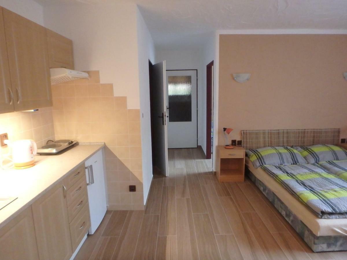 Apartments Vecernik Rokytnice 捷克布杰约维采 外观 照片